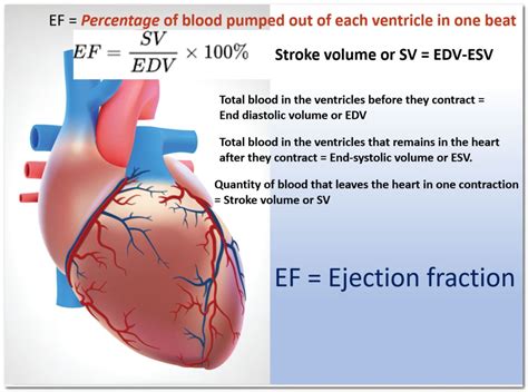 lv ejection|ejection fraction blood test.